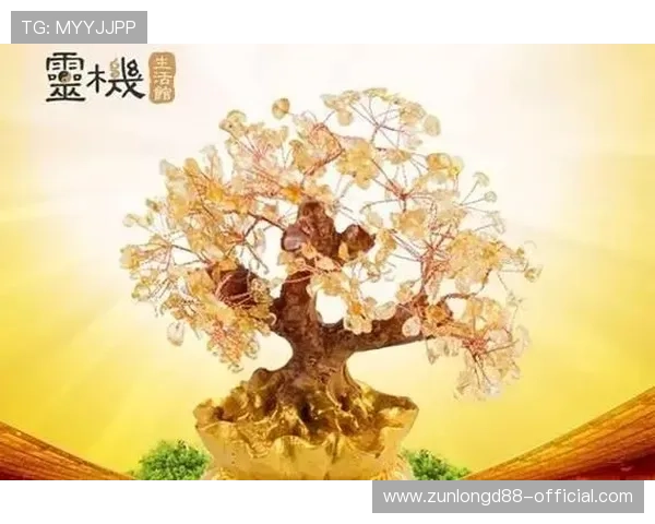 开运官方旗舰店为你量身打造个性化开运方案