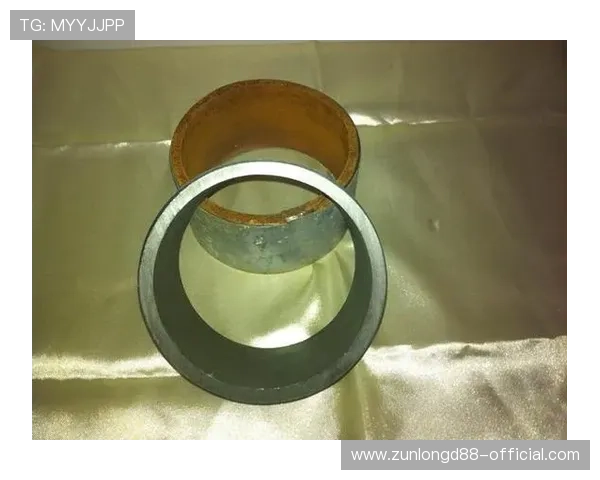 尊龙凯时国际站:新手玩家必看入门指南与操作技巧详解