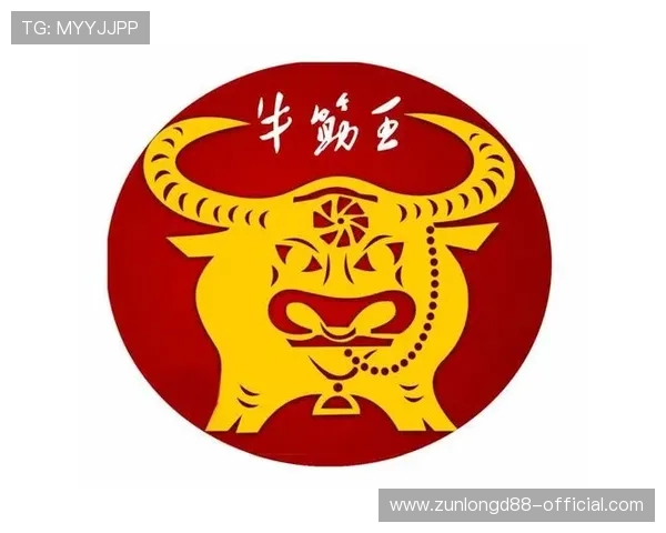 深度剖析尊龙凯时旗舰厅客户端的用户反馈与评价