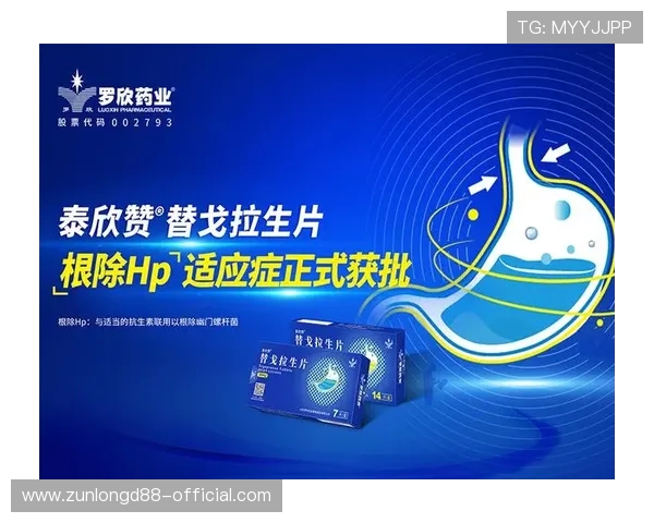凯时尊龙app下载安装指南帮助用户快速安全完成软件下载与安装流程